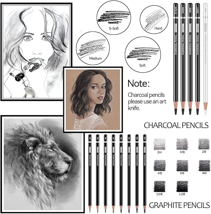 PANDAFLY Drawing Sketching Pencil Set, 22 Piece Pro Art Pencil Kit - Graphite Pencils (12B-2H), Black and White Charcoal Pencils, Charcoal Sticks, Stumps, Eraser, Sharpeners