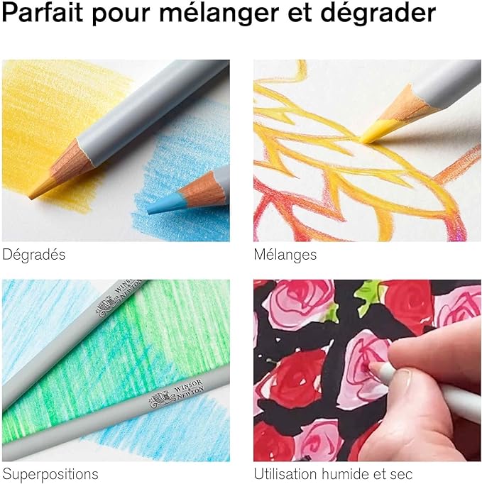 Winsor & Newton Studio Collection Artist Pencils, Watercolour Pencil Box Set, 50 piece