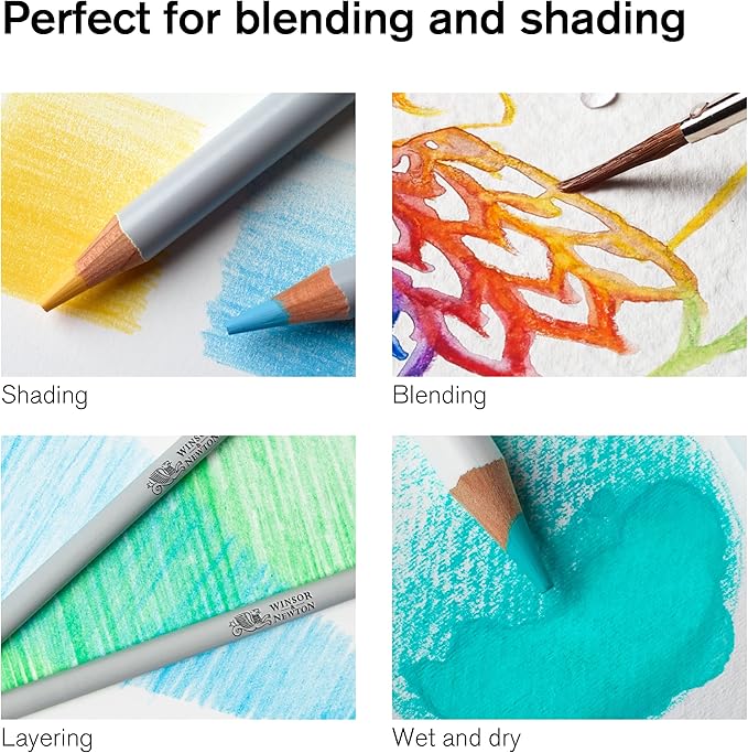 Winsor & Newton Studio Collection Artist Pencils, Watercolor Pencils, Set of 24