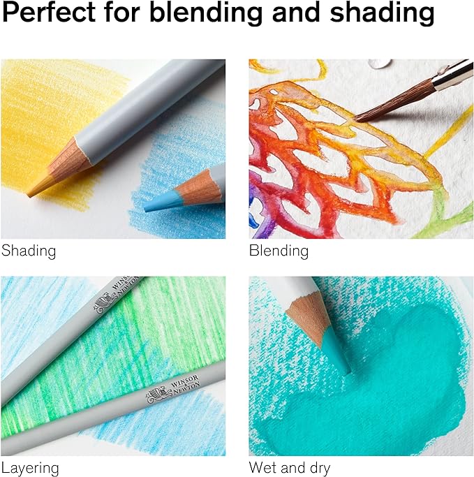 Winsor & Newton Studio Collection Artist Pencils, Watercolor Pencils, Set of 12