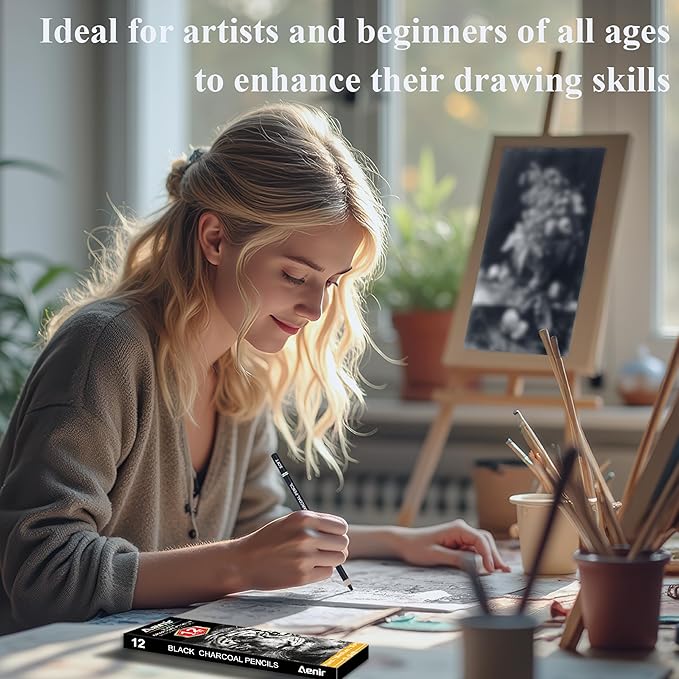 Charcoal Pencils for drawing, Set of 12, Charcoal Drawing Pencils (S-Soft, Soft, Medium, Hard), Art Supplies for Artist, Sketching, Shading