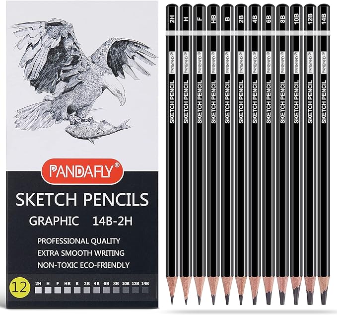 PANDAFLY Professional Drawing Sketching Pencil Set - 12 Pieces Graphite Pencils(14B - 2H), Ideal for Drawing Art, Sketching, Shading, Artist Pencils for Beginners & Pro Artists