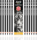 Charcoal Pencils for drawing, Set of 12, Charcoal Drawing Pencils (S-Soft, Soft, Medium, Hard), Art Supplies for Artist, Sketching, Shading