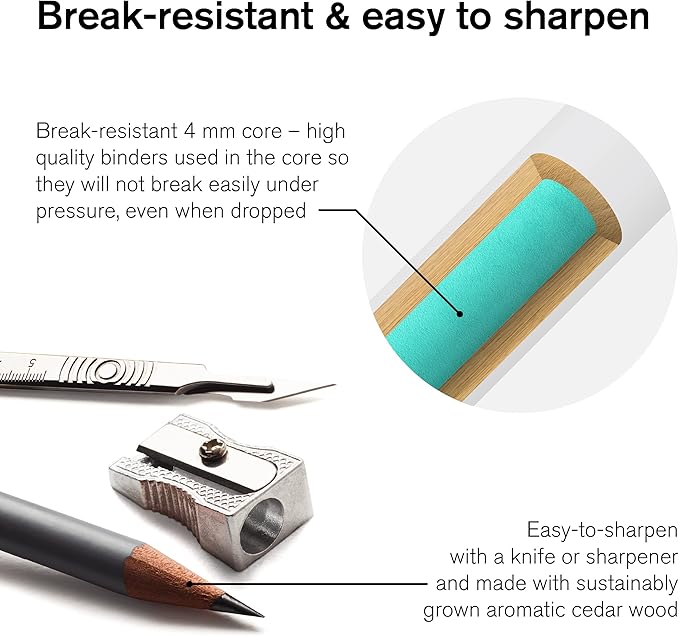 Winsor & Newton Studio Collection Artist Pencils, Watercolor Pencils, Set of 12